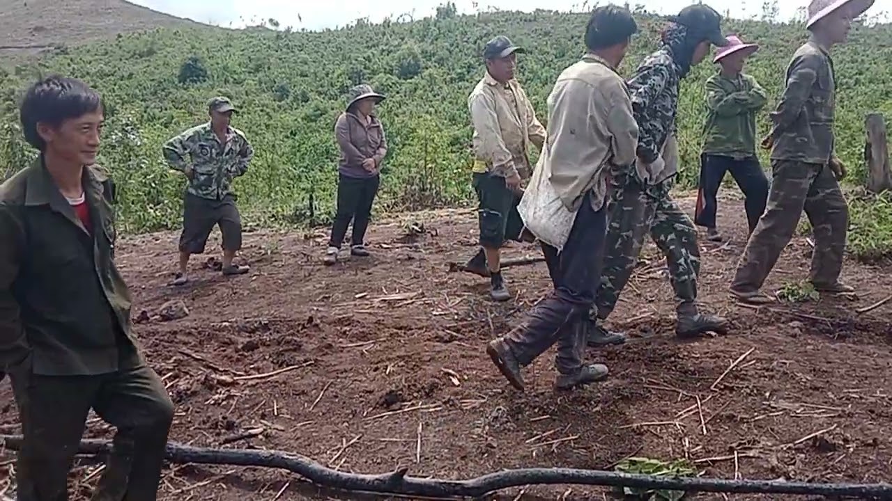 xov xwm hmoob cov kwv tij hmoob thoj sib txeeb teb hnub (21/5/2024)