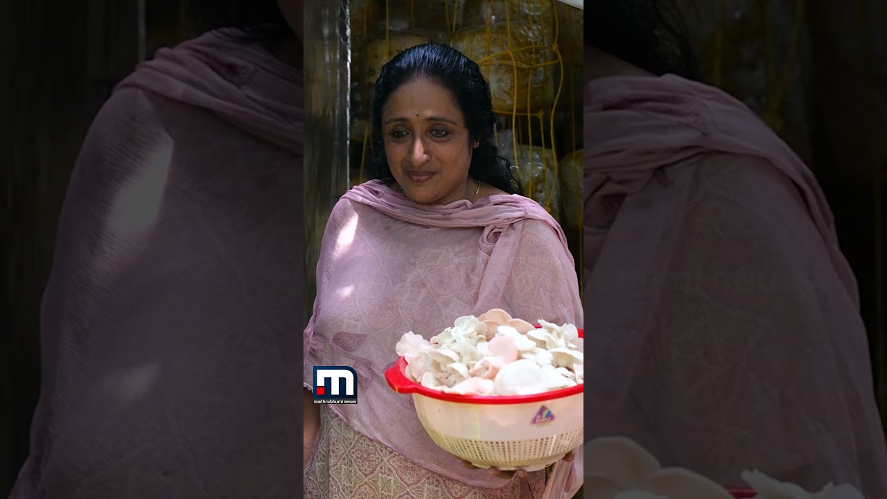 250 രൂപയ്ക്ക് കൂണ്&zwj; കൃഷി തുടങ്ങി, ഇന്ന് മാസവരുമാനം ഒരുലക്ഷം | Shiji Thankachan | SHECAN | Coonfresh