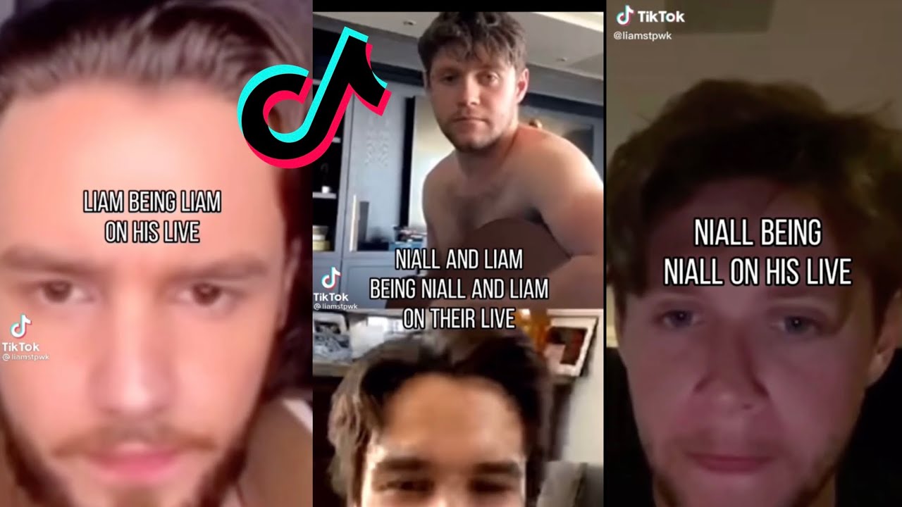 Liam and Niall being themselves on their lives tiktok compilation