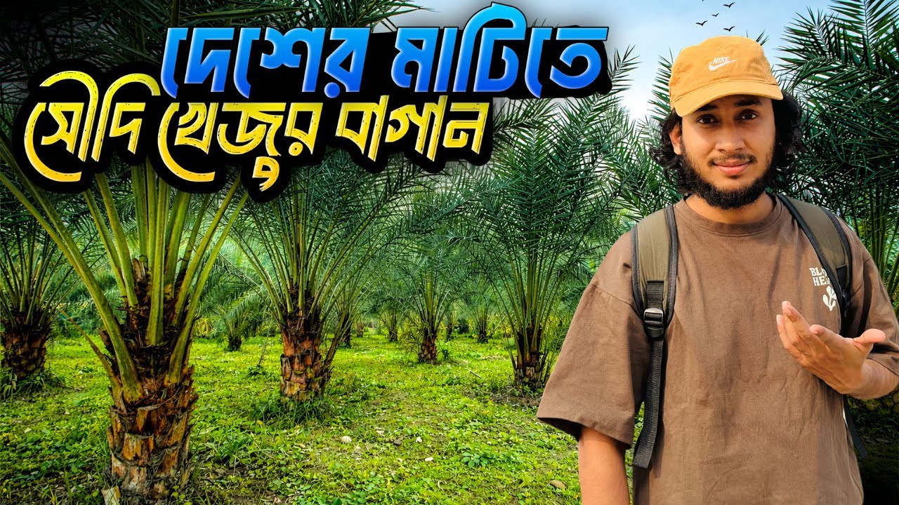 দেশের মাটিতে সৌদি খেজুর বাগান | প্রবাসীর সংগ্রামের গল্প | Documentary