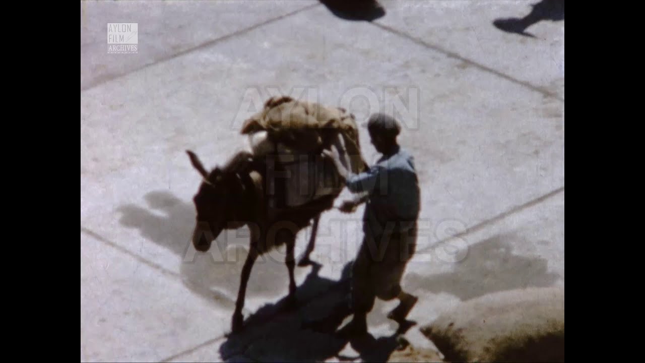 Περπατώντας στα Φηρά (1960)