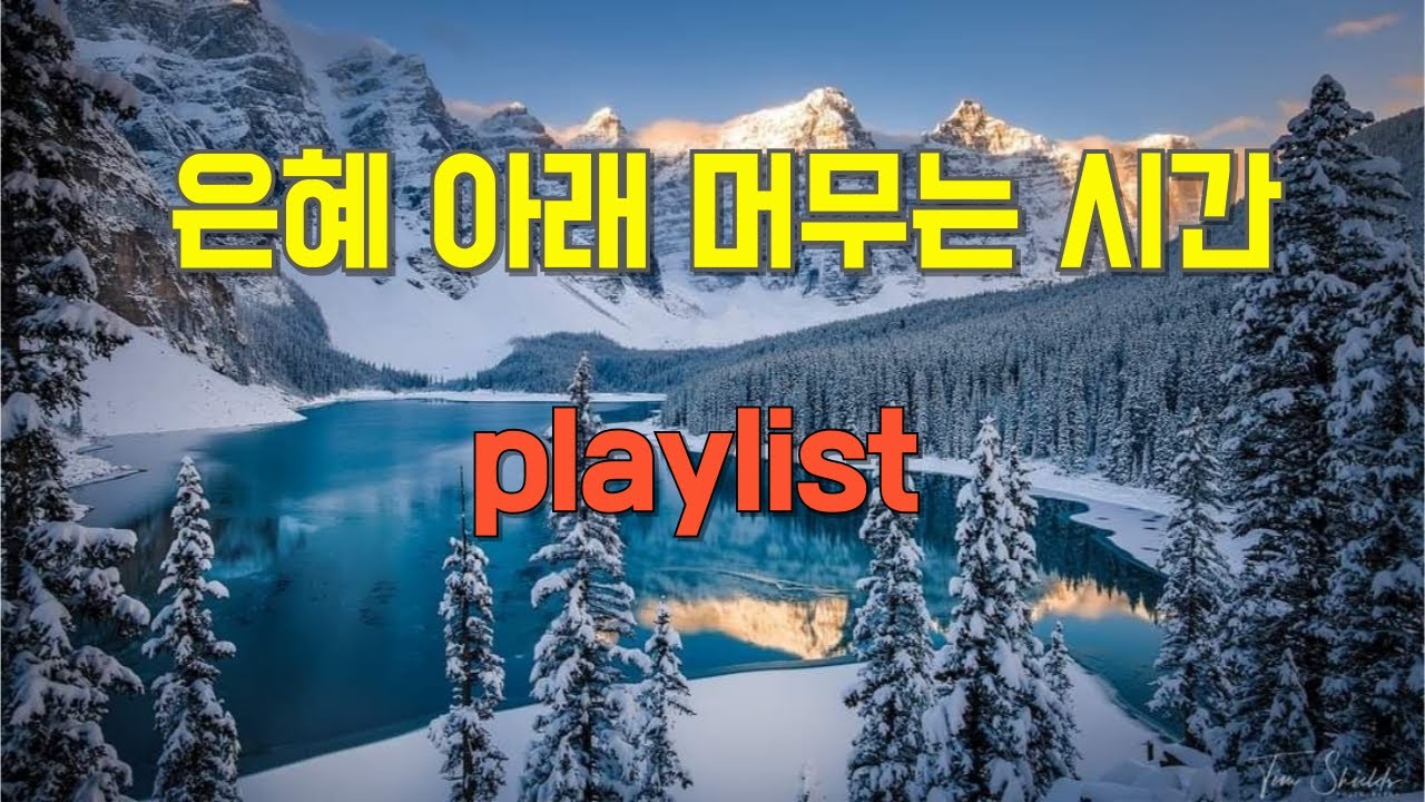 playlist 🎶말씀 앞에 잠잠히 머무는 찬양│ 시편과 복음의 고백으로 드리는 기도 찬양 10곡