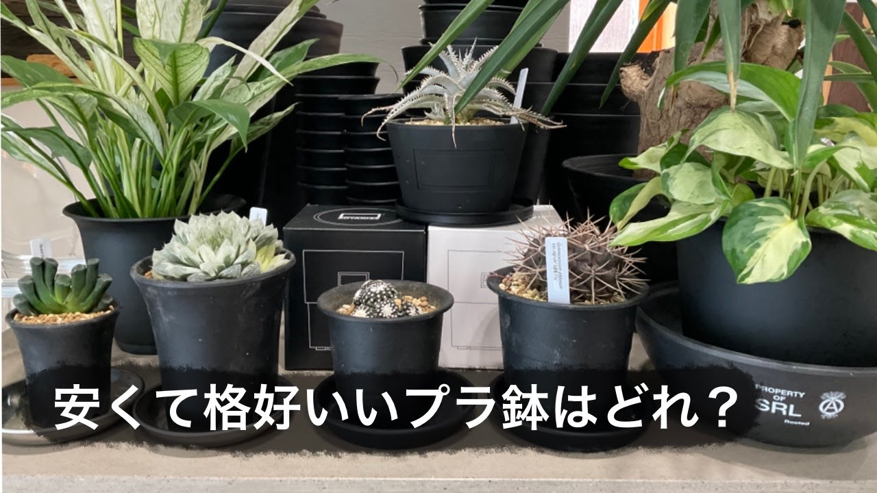 【プラ鉢】安くて格好良い鉢はどれ？【水ハケ良好】