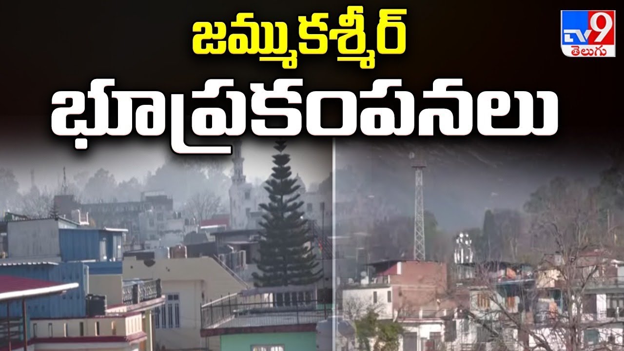అరవ లీల.. ఆగని గోల | Janasena | AP Politics - TV9