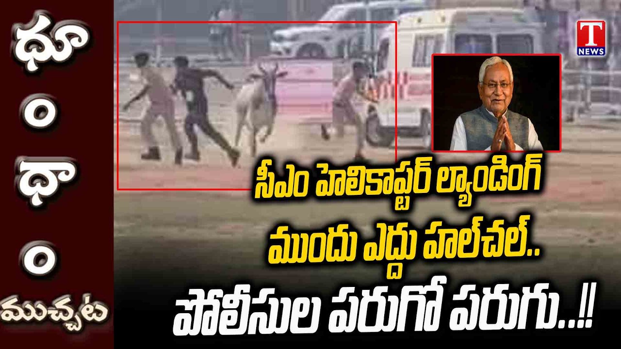 Before Nitish Kumar Chopper Landing… Bull Creates Panic | Viral Clip | T News Dhoom Dhaam Muchata