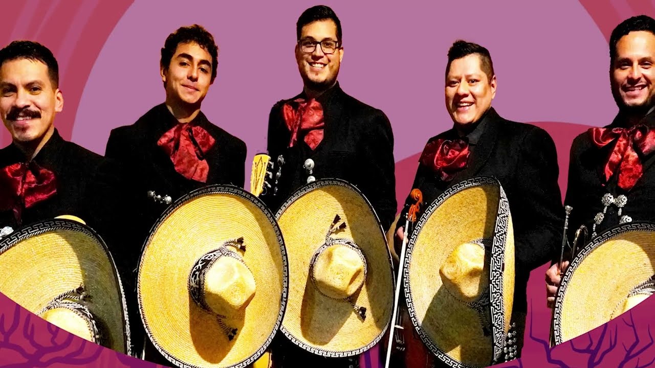 Mariachi Viva Jalisco De  Hector Basulto Garita