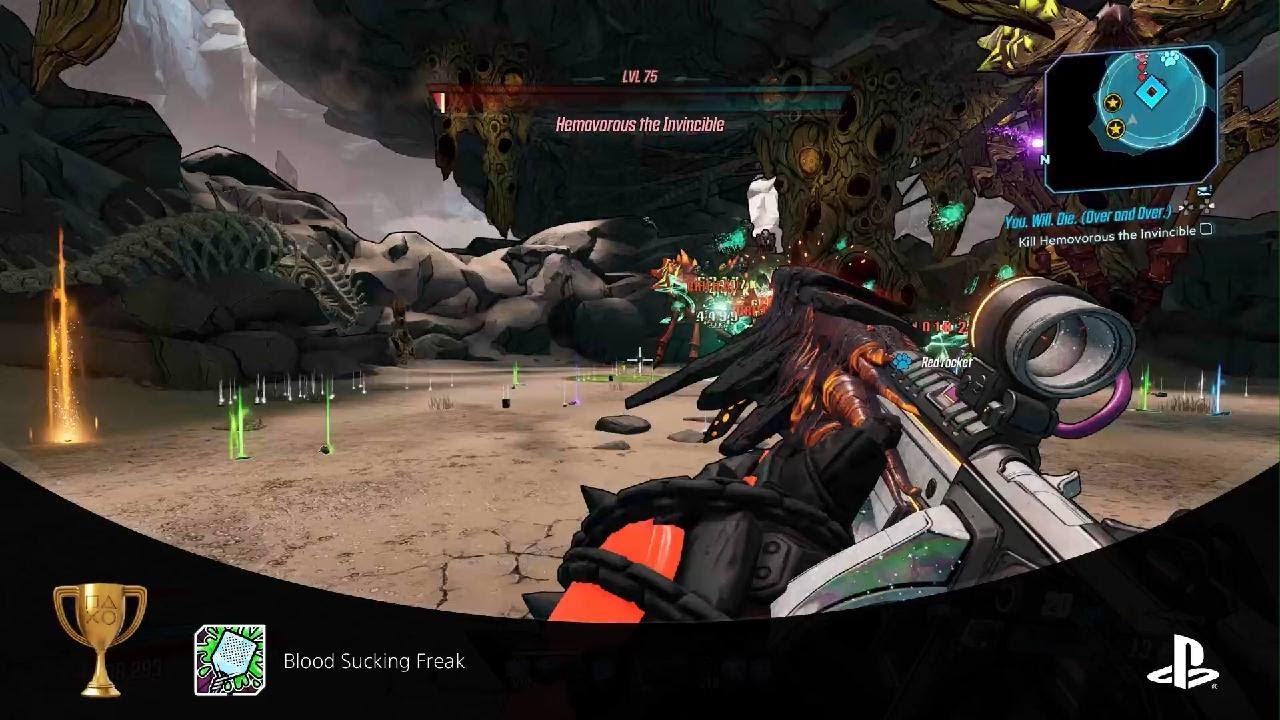 My first invincible in bl3