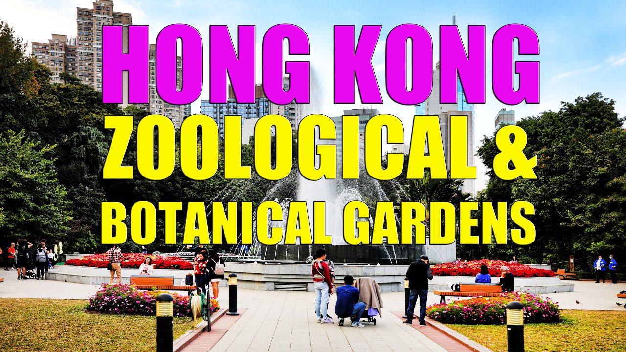 [4K] Emerald Eden: The Hidden Wonders of Hong Kong&rsquo;s Zoological & Botanical Gardens | 香港動植物公園 - 兵頭花園