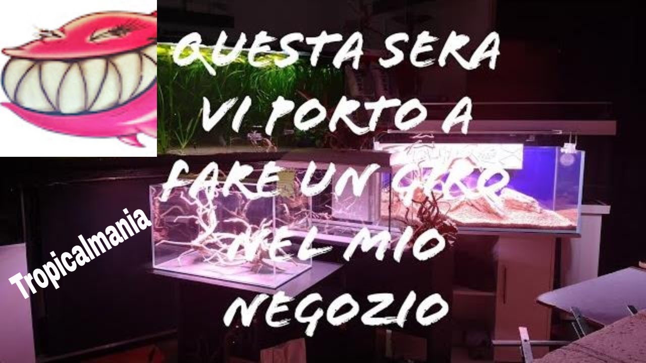 Tropicalmania ai tempi del virus. Vi porto a fare un giro in negozio,( come promesso )
