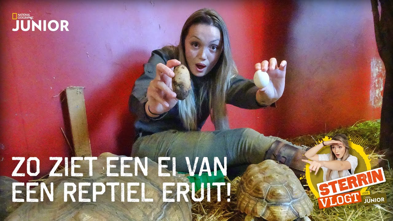 Het geheim van het reptielen-ei - Sterrin vlogt 5