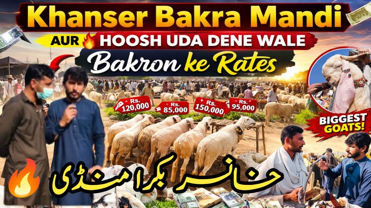 Khanser Bakra Mandi 😲 1 Lakh Se Upar Bakre! Aaj Ke Sabse Mehngay Bakre | Live Rates 