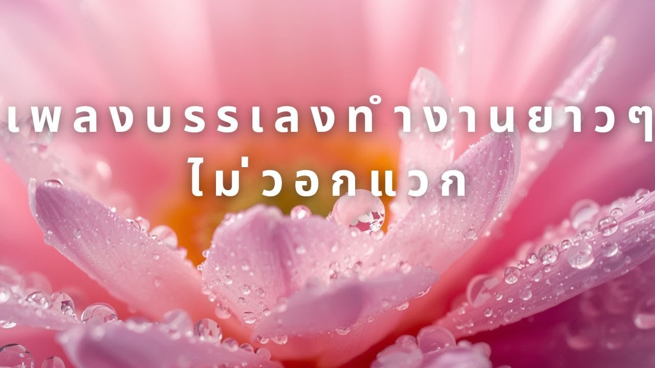 ดนตรีบำบัดคลื่นใจสงบ | เพลงช่วยปรับอารมณ์และปลอบประโลมภายใน