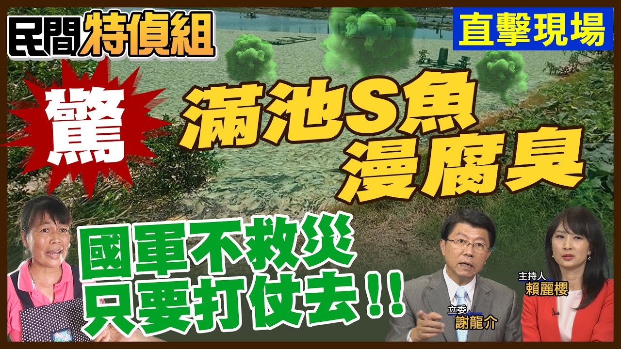 獨家直擊滿池台灣鯛翻肚！8天電才來！發電機救急都無法！怒轟:救災都做不好 打什麼仗【#民間特偵組 204-3】 @民間特偵組PeopleJustice