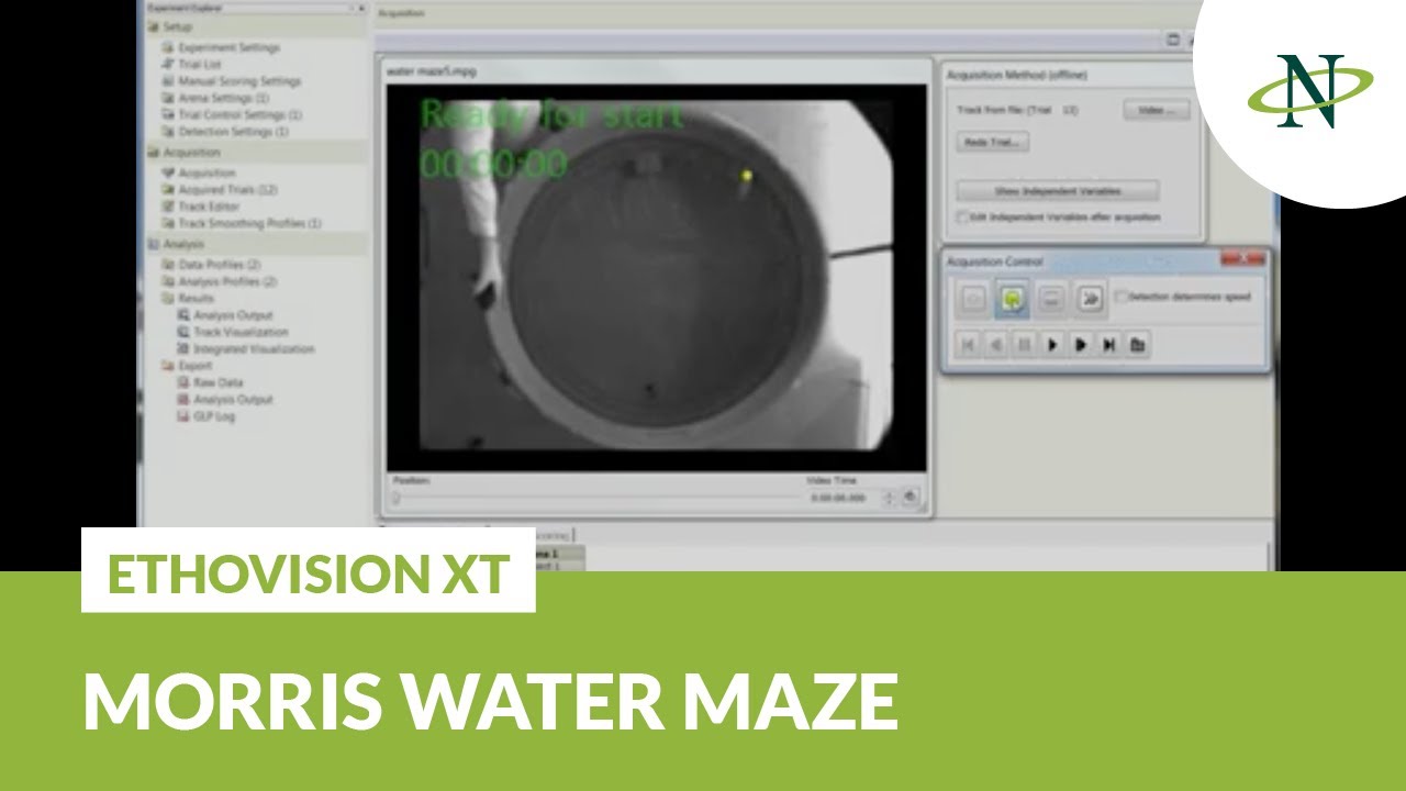 EthoVision XT - Morris water maze