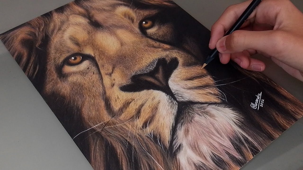 Tutorial de como desenhar um Leão realista! - Alearts