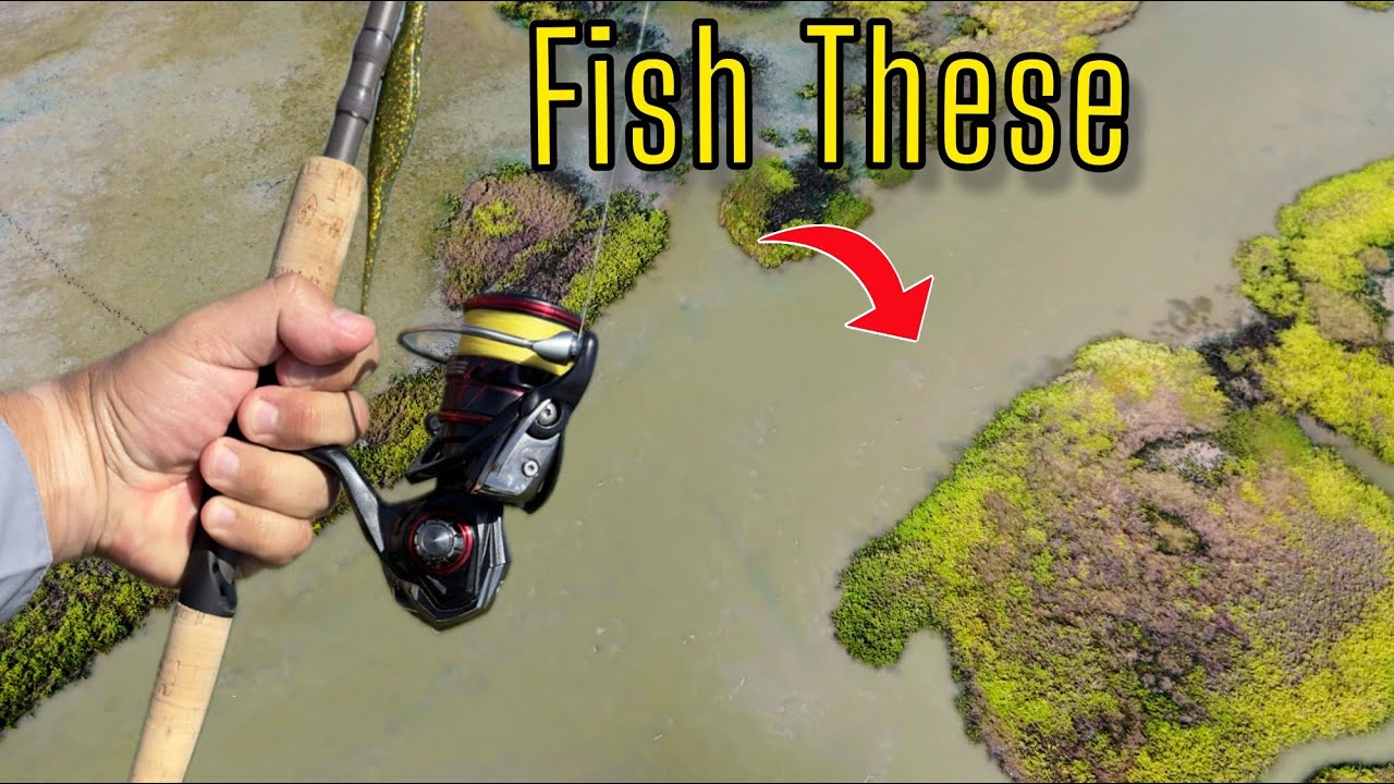 Laguna Madre fishing is HOT!! Crazy flats fishing action