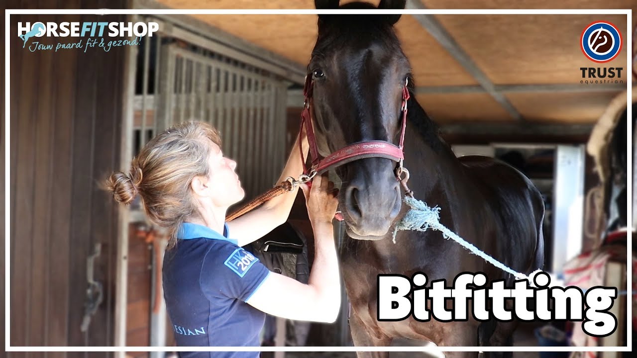 Bitfitting | Het juiste bit voor jouw paard | Vlog #6 | HorseFitShop