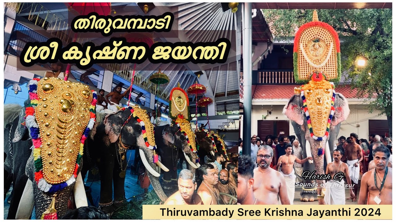 തിരുവമ്പാടി ശ്രീ കൃഷ്ണ ജയന്തി 2024 | Thiruvambady Sree Krishna Jayanthi 2024 | HARISH G