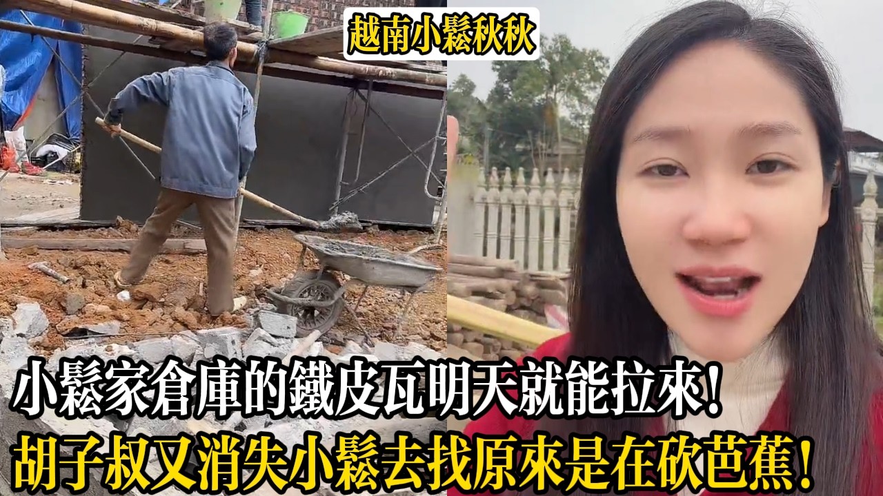 小松家倉庫的鐵皮瓦明天就能拉來！胡子叔又消失小松去找原來是在砍芭蕉！【小松秋秋生活日常】