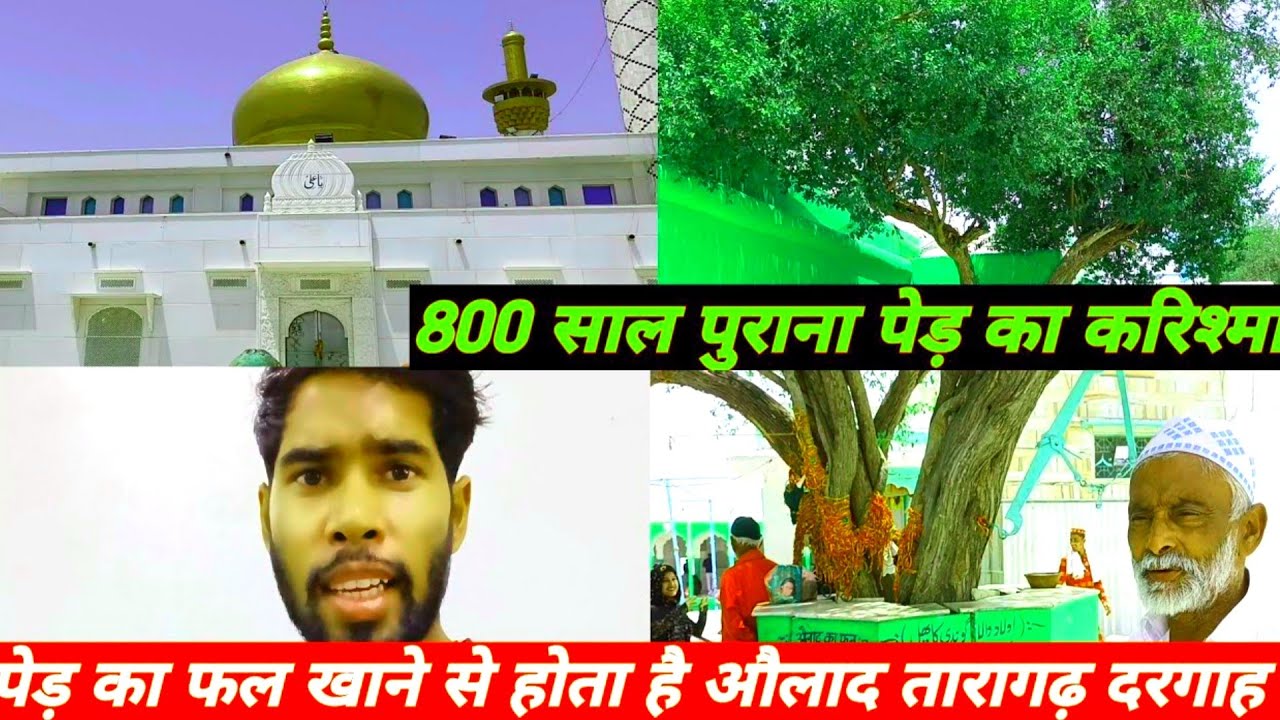 Aulad wala pal Taragarh | Ajmer sharif taragarh ki is dargah | 800 साल पुराना पेड़ का करिश्मा