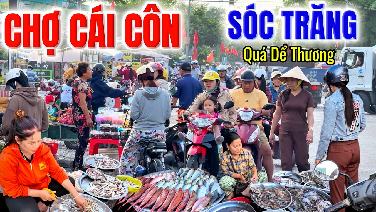 Lần Đầu Đi CHỢ CÁI CÔN, SÓC TRĂNG, Bất Ngờ Phát Hiện Chợ Bán Rất Nhiều Cá Ngon Và tôm Sông Giá Rẻ