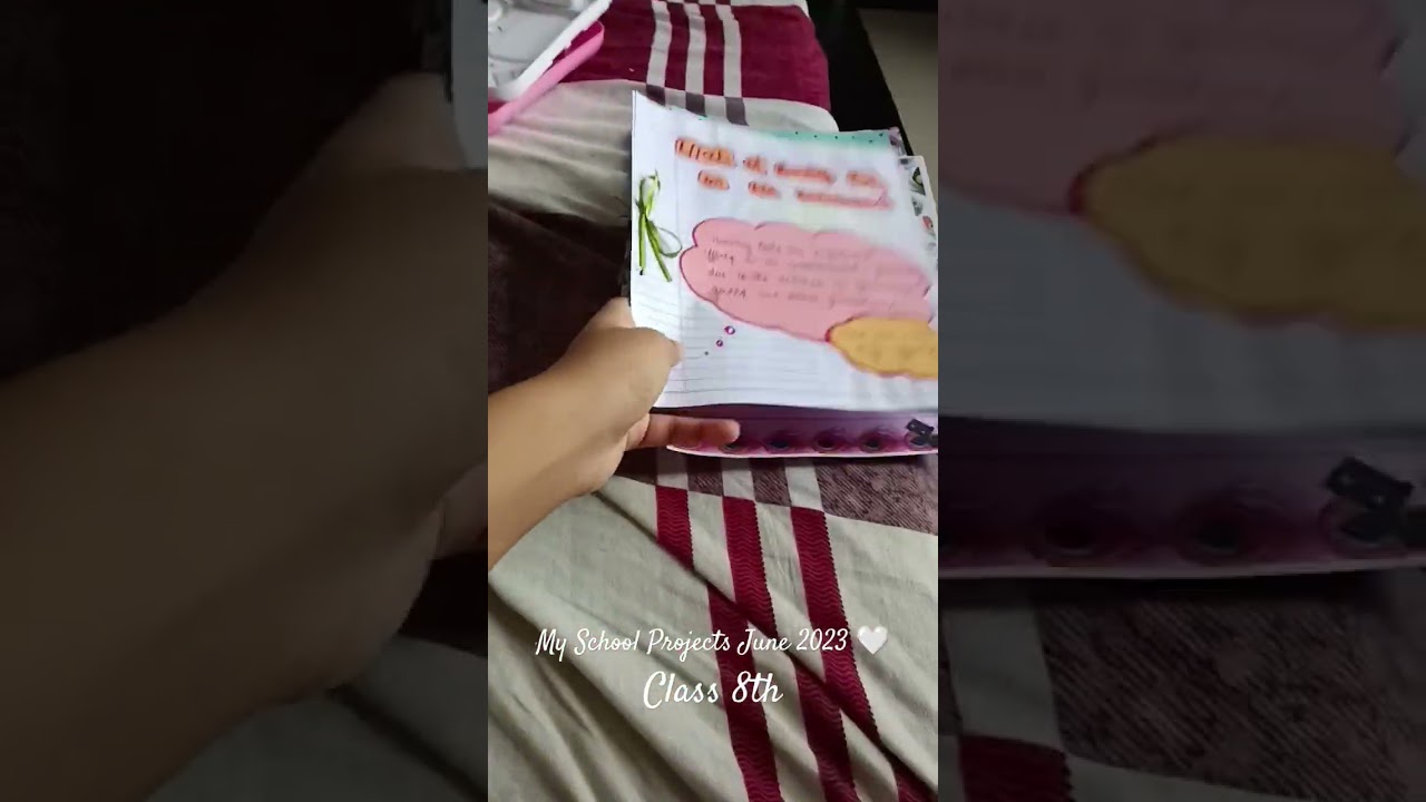 Holidays Homework 2023 || My Project || Summer Vacation Homework || Class 8th Project Files ||