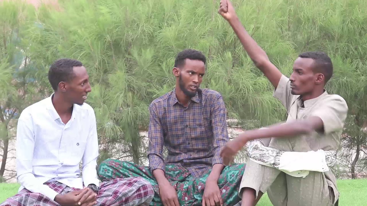 SHEEKO QOSOL BADAN HANKOOLKA GALMUDUG XIKMAD IYO XARAABO