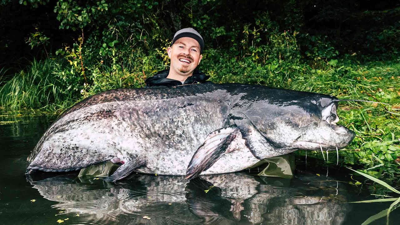 REKORD-WALLER bringt Gewissheit: NEUES KAYAK wird mega!