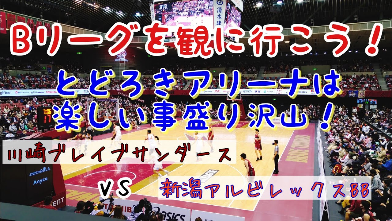 Bリーグを観に行こう！川崎ブレイブサンダースvs新潟アルビレックスBB とどろきアリーナ