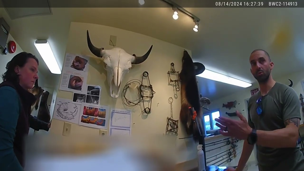 Hunter finds out his sheep is illegal