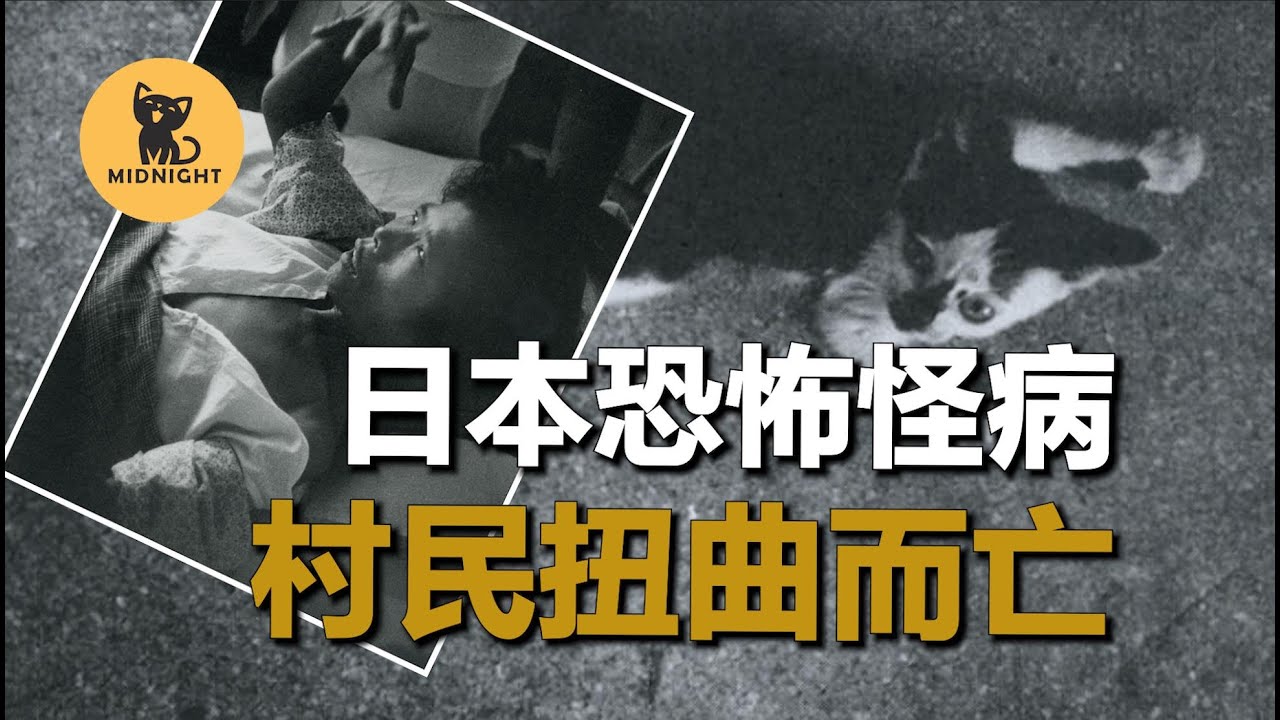 工業廢水產生的怪病，村中的貓發瘋跳海，村民做出詭異行為，世界八大公害之一