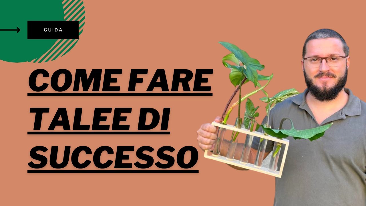 COME FARE TALEE in acqua, guida completa per moltiplicare le tue piante preferite