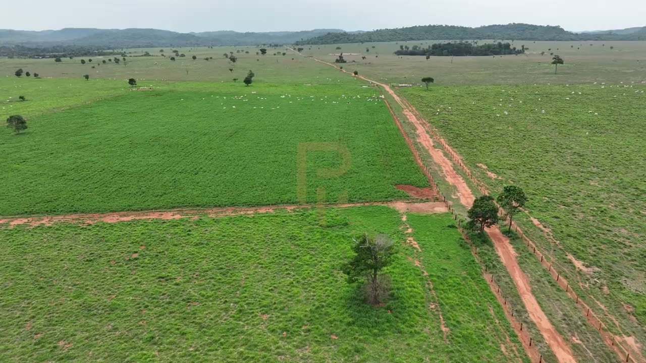A VENDA -  Fazenda localizada na região da Vila Carmelita, em Confresa – MT.
