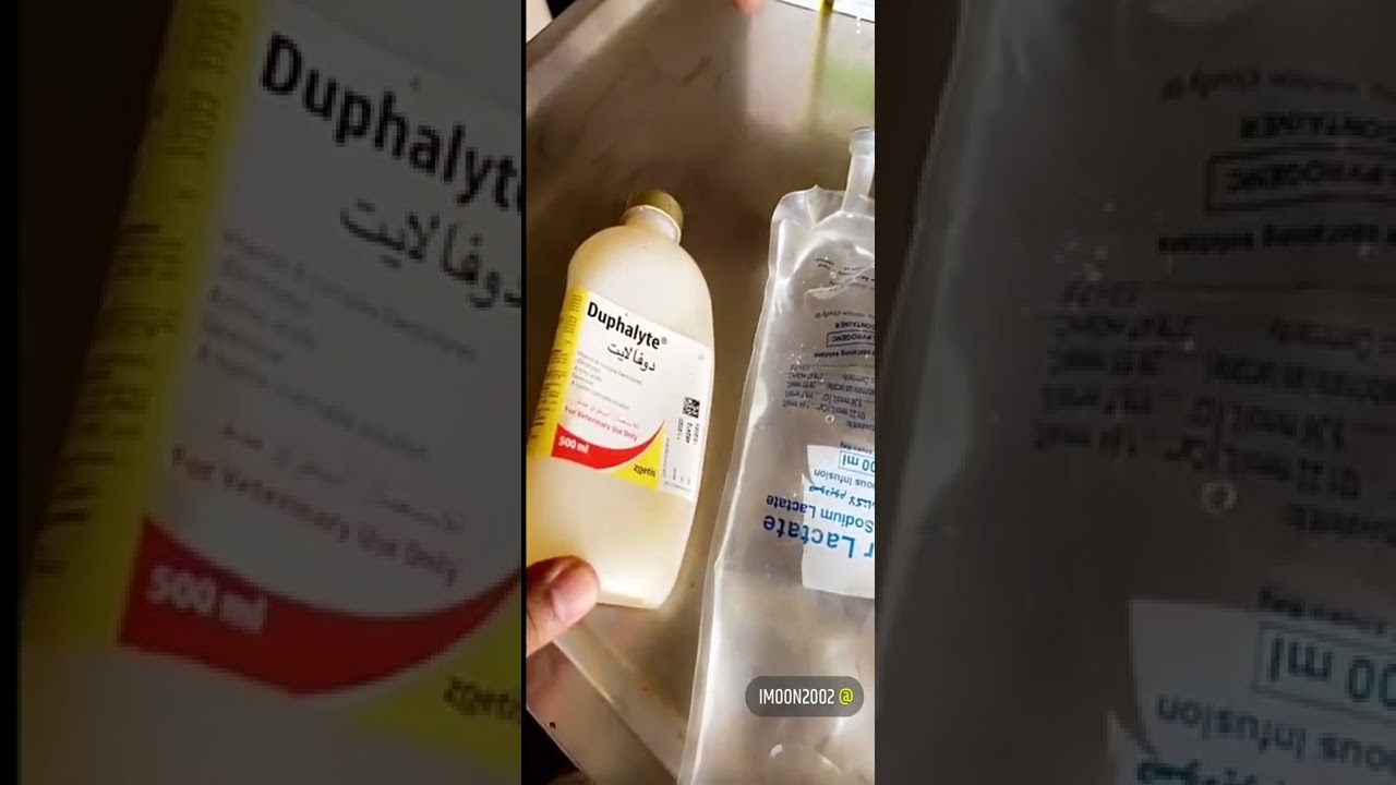 المرض الدموى و كيفيه علاجه