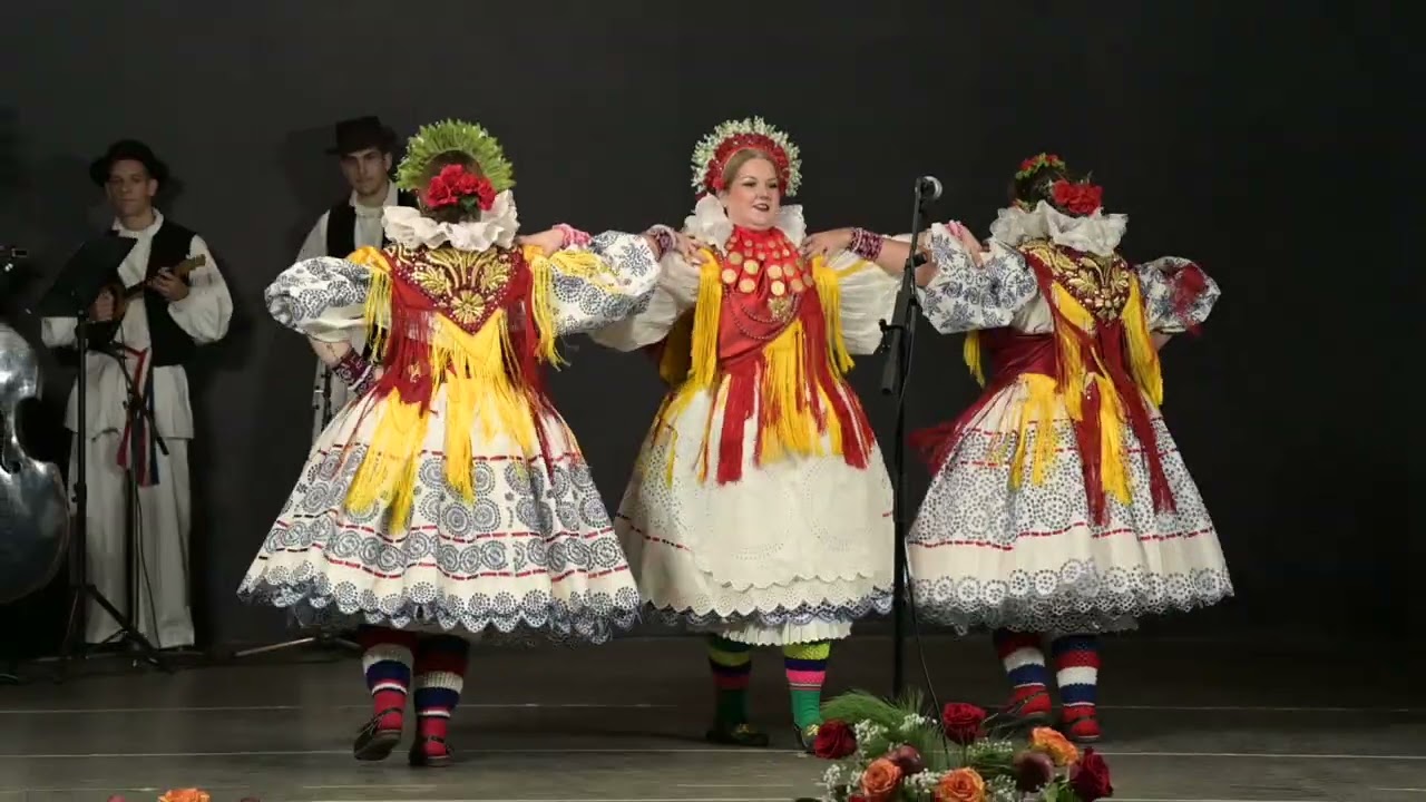 ROMSKI RESURSNI CENTAR-24. GODIŠNJI KONCERT 2025.