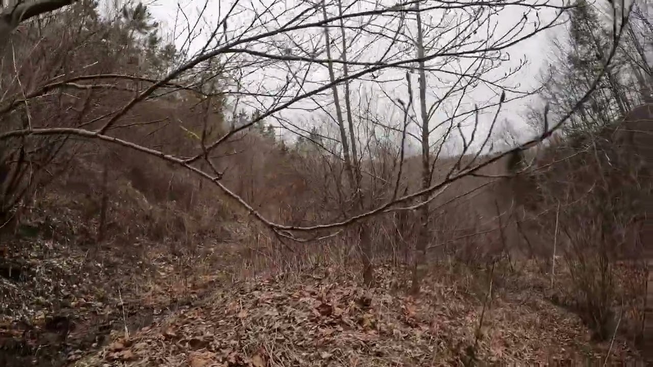 Exploring A Field In Letcher County Kentucky