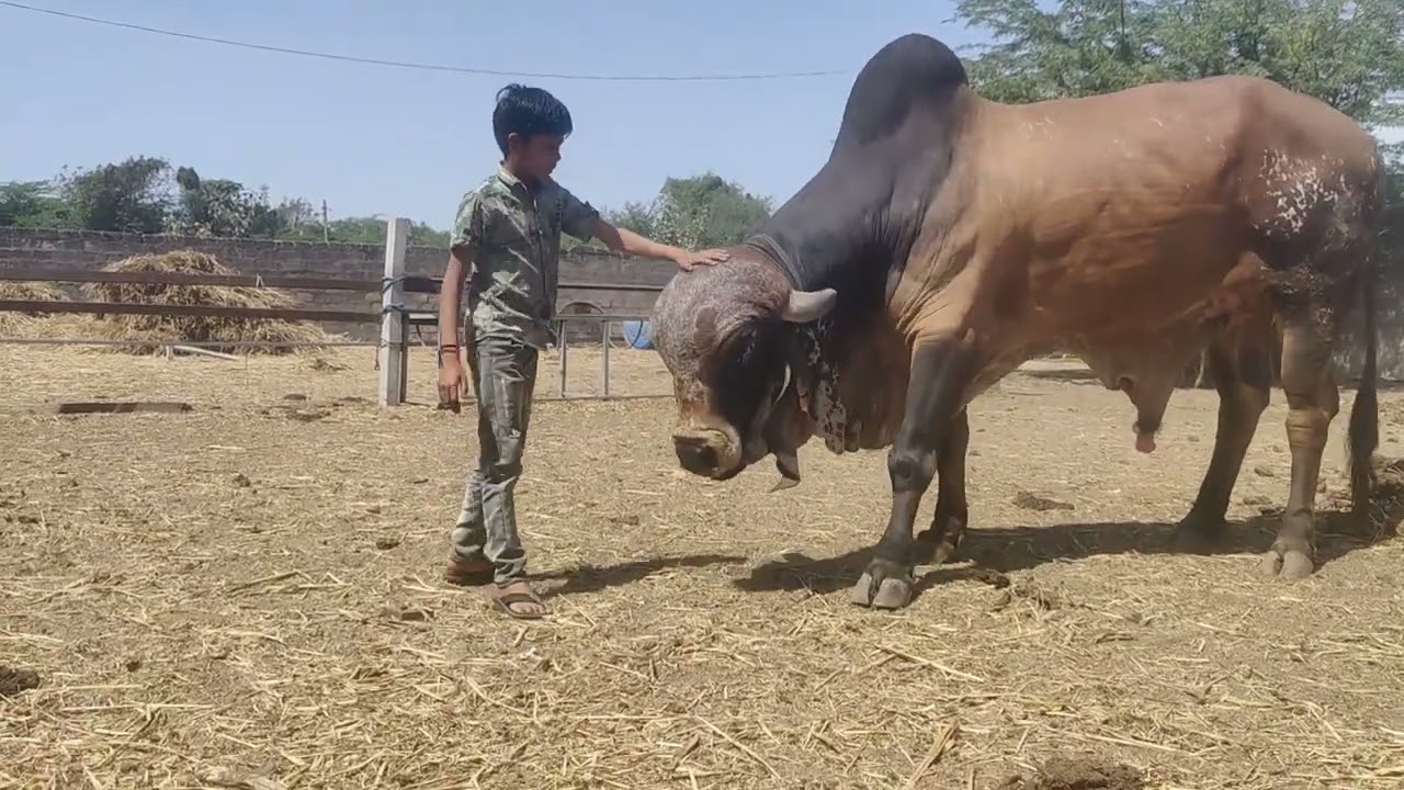 Mera beta vansh or uska gauprem.