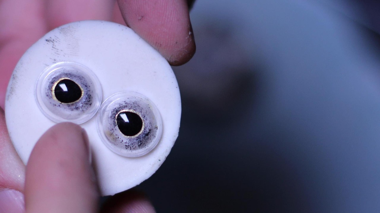 Taxidermy: Painting Brown Trout Eye
