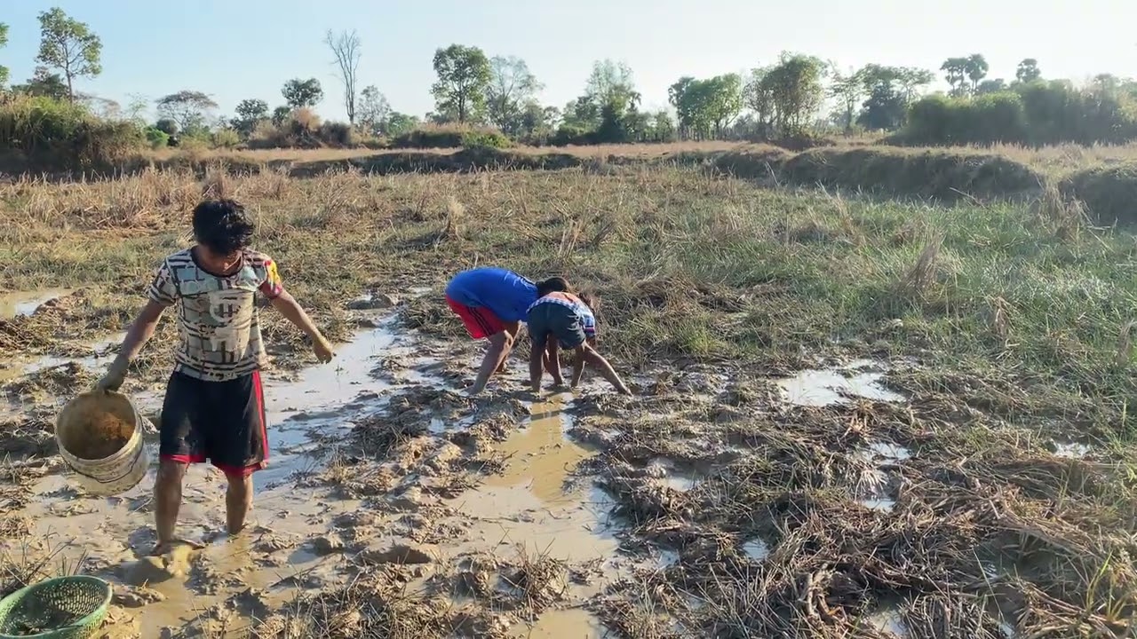 ត្រីច្រេីនណាស់