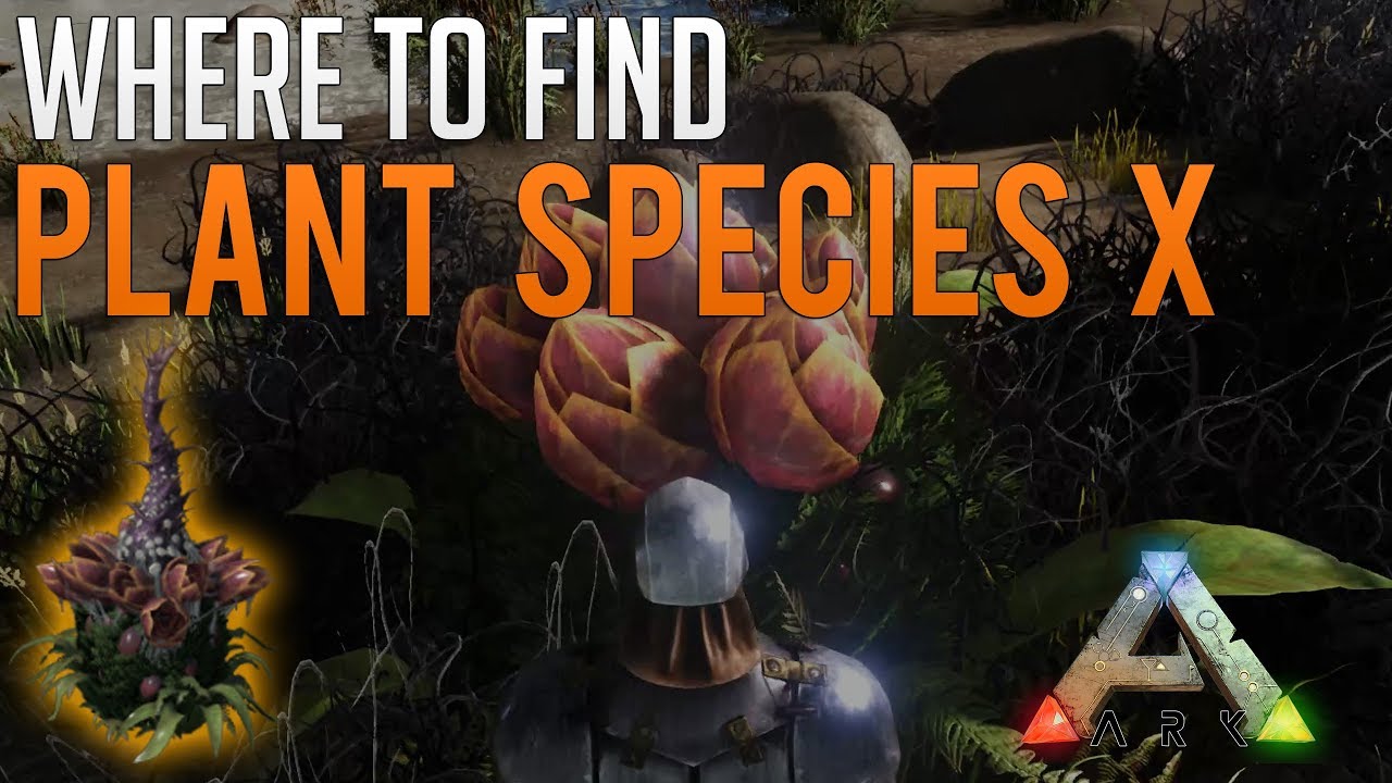 Поиск и размещение видов растений X | Руководство по Ark Survival Evolved