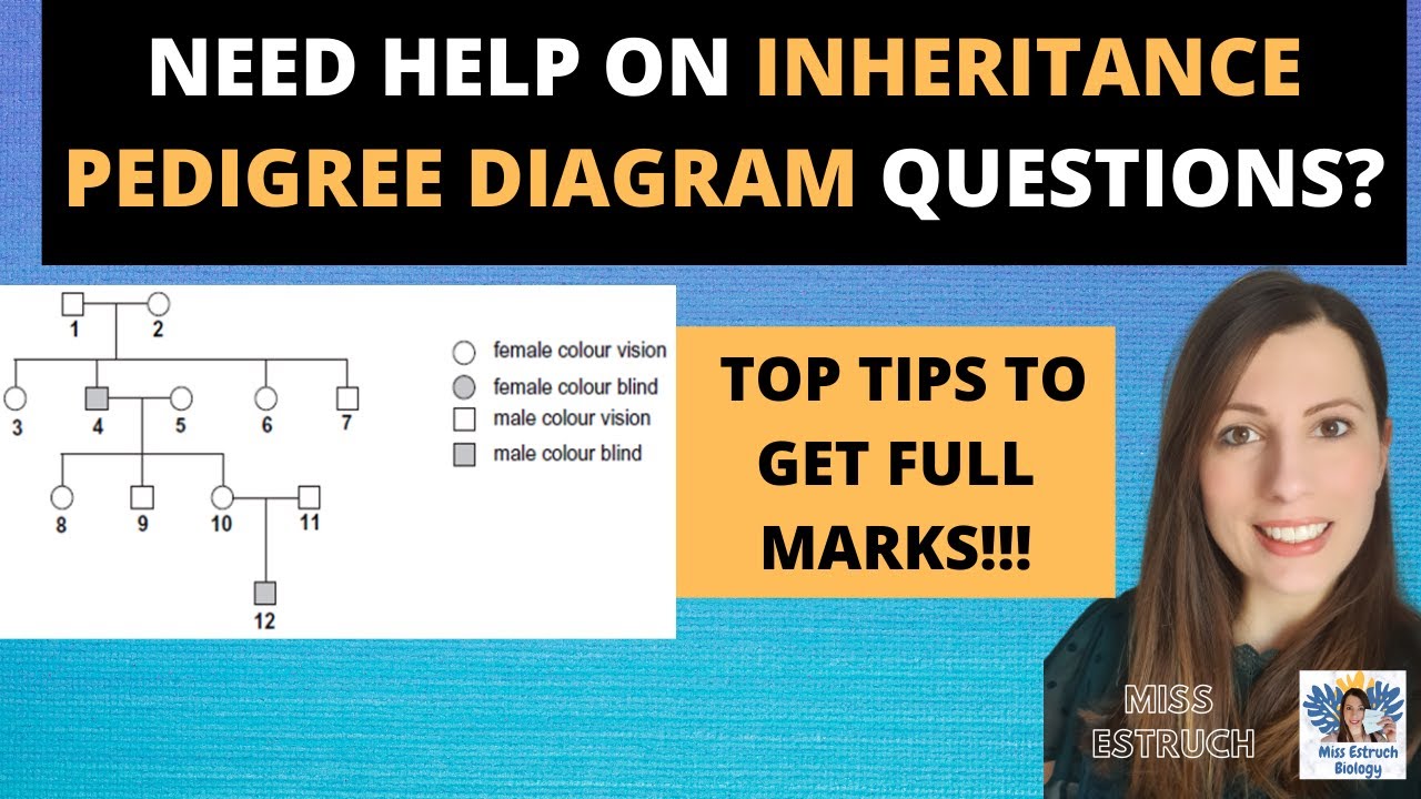 INHERITANCE PEDIGREE DIAGRAMS- How to get FULL MARKS on exam questions - question run through