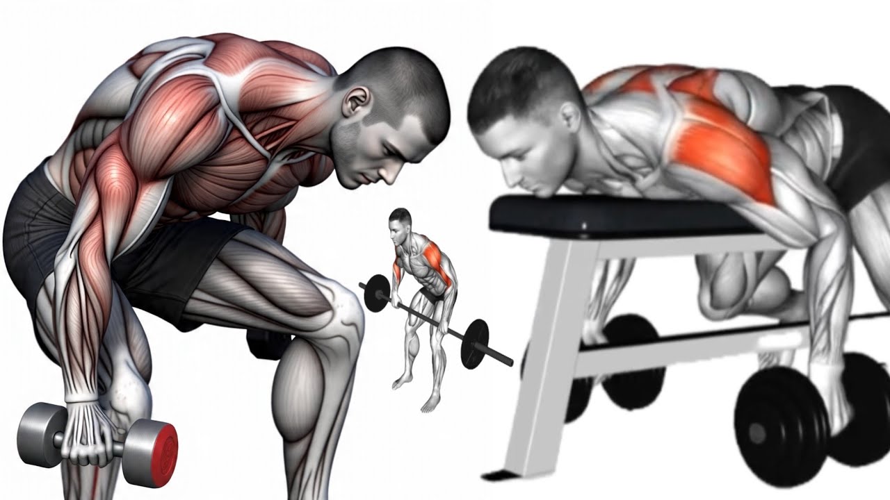 Top Trainer–Approved Shoulder & Upper Back Workout for Massive Size