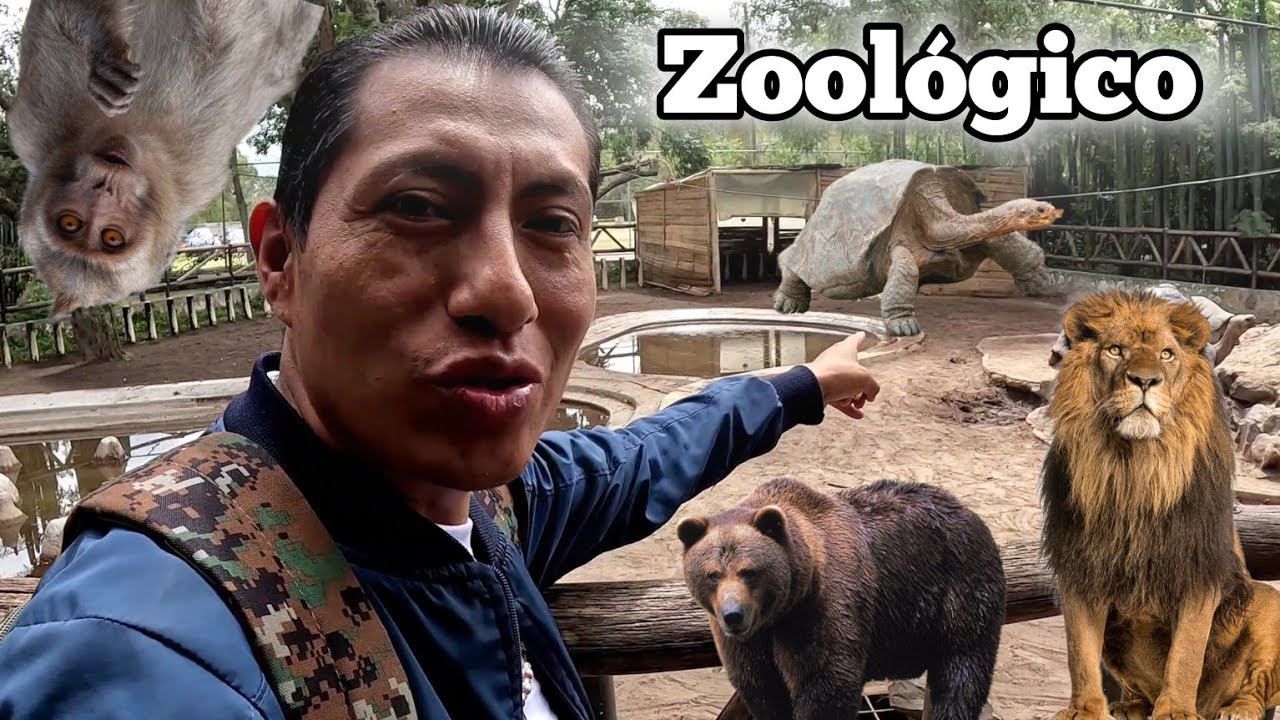 Zoológico Guayllabamba Quito Ecuador Viajero Ecuador 2024
