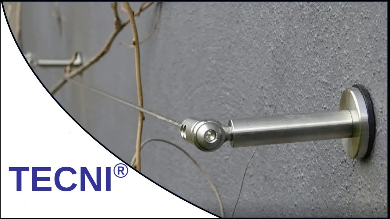 Steel Cable Trellis System for Training Wisteria and other Climbing Plants