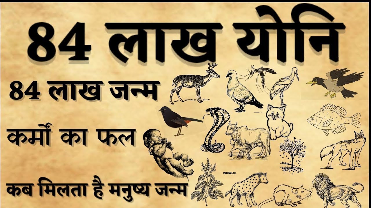 जन्म से पहले 84 लाख योनियों में कैसे भटकती है आत्मा ? (84 Lakh योनि का रहस्य) | Premanand ji Maharaj