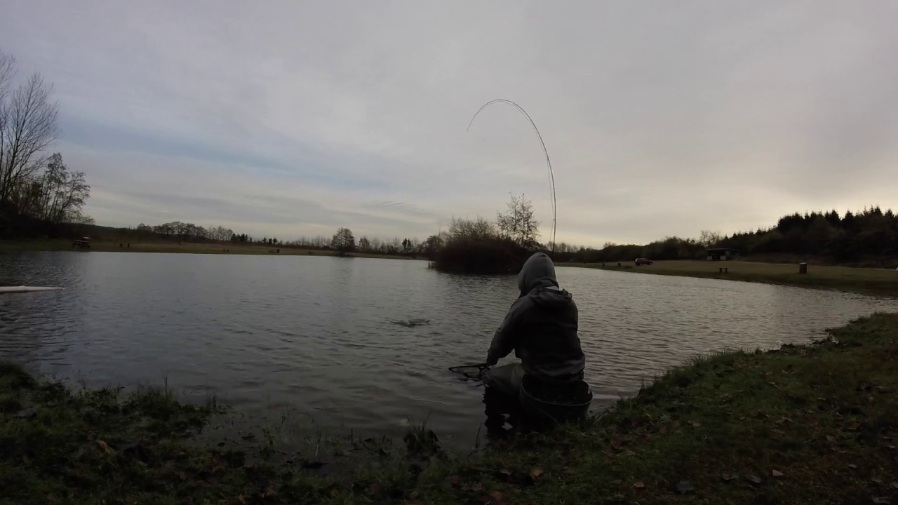 Indikations fiskeri i Gudenådalens Lystfiskersø 20.11.2016