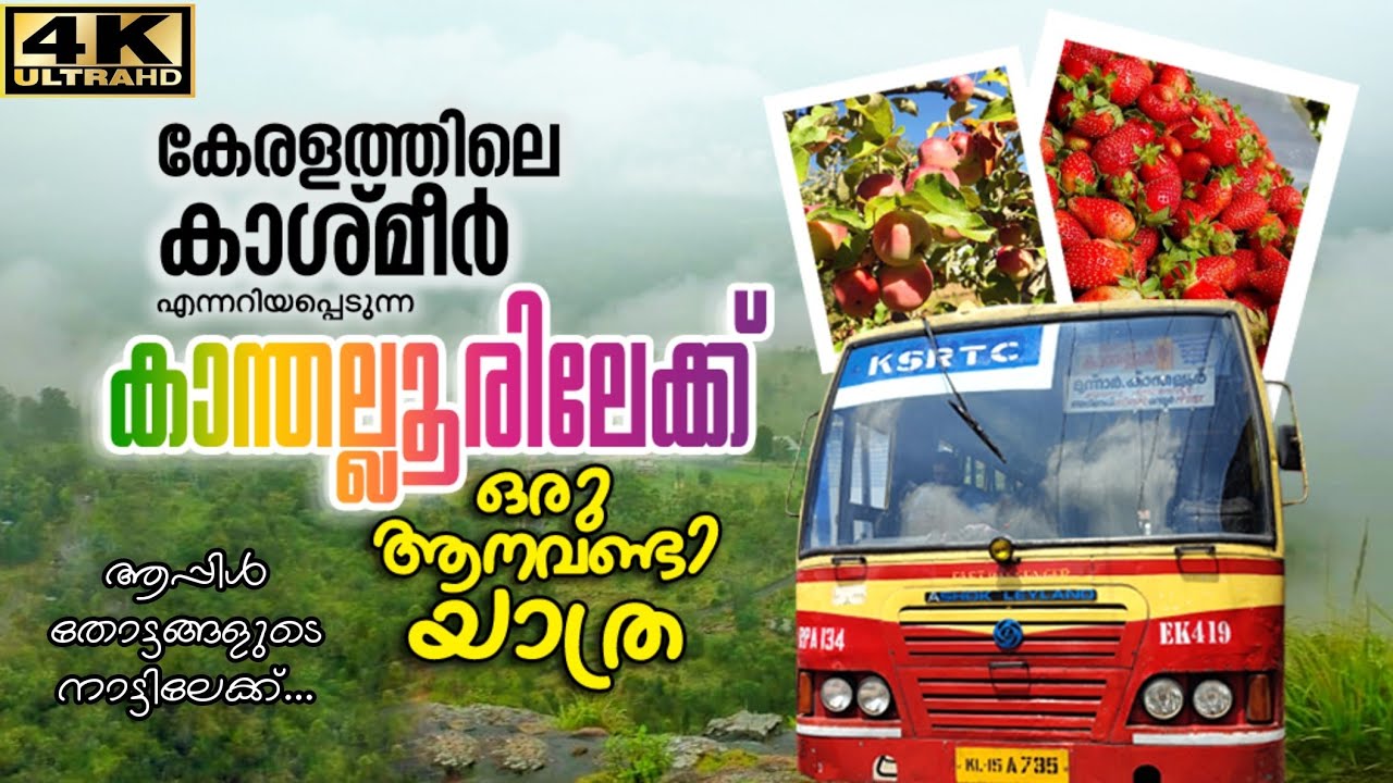 കേരളത്തിന്റെ കാശ്മീരായ കാന്തല്ലൂരിലേക്ക് | Kanthalloor KSRTC Bus Trip Via Marayoor Moonnar