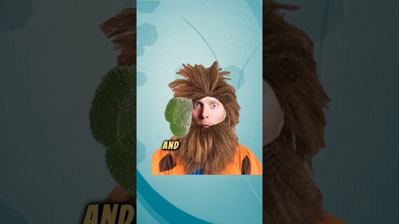 How did our ancestors eat this? #animatedstory #storytimeanimation #facts