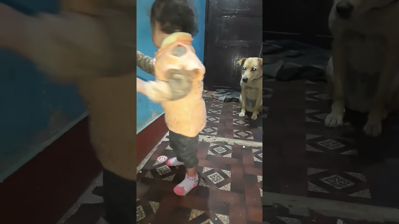 Baby daksha doggy 🐕 se baat kr rhi h🤭😍 