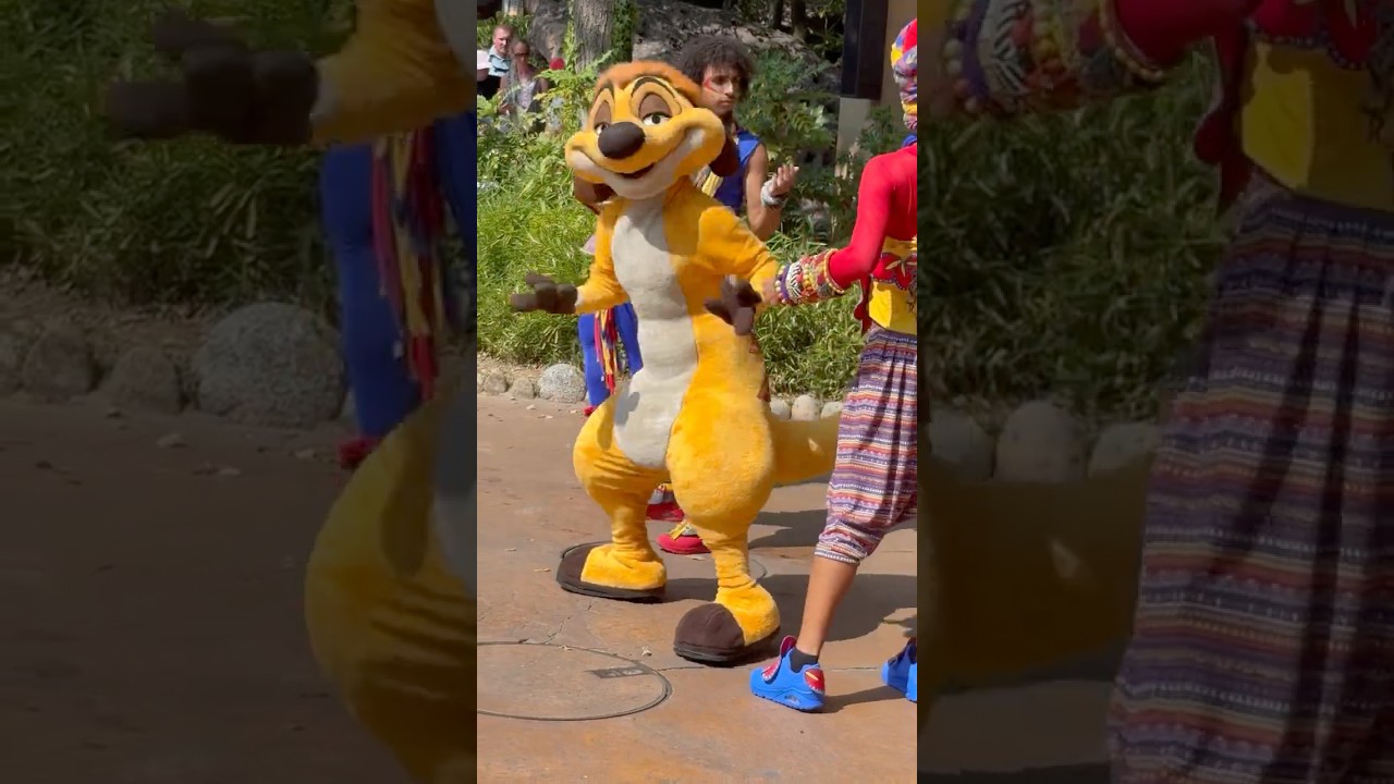 Timons Matadance ist einfach nur schön 😀 